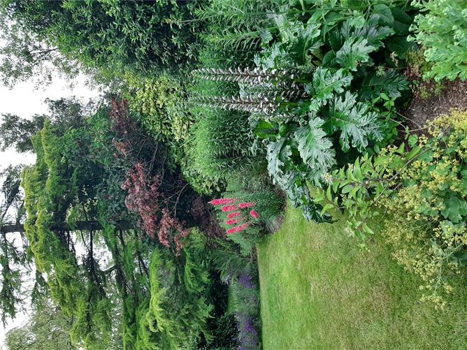Moss Cottage, Hospital Hill, Bunclody, Co. Wexford.