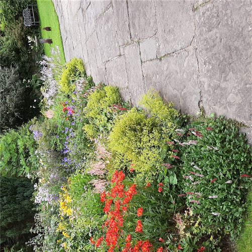Moss Cottage, Hospital Hill, Bunclody, Co. Wexford.