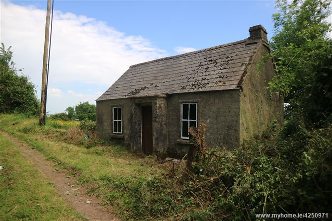 Knockroe Lough Gur Bruff Limerick Gvm Auctioneers