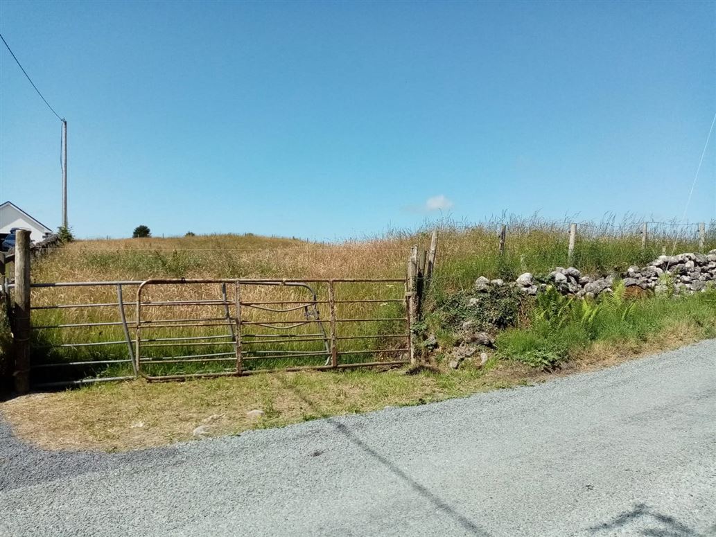 Lemonagh, Lavally, Tuam, Co. Galway Sherry FitzGerald Todd 4518971