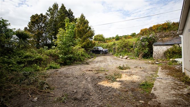 Tomduff, Borris, Carlow