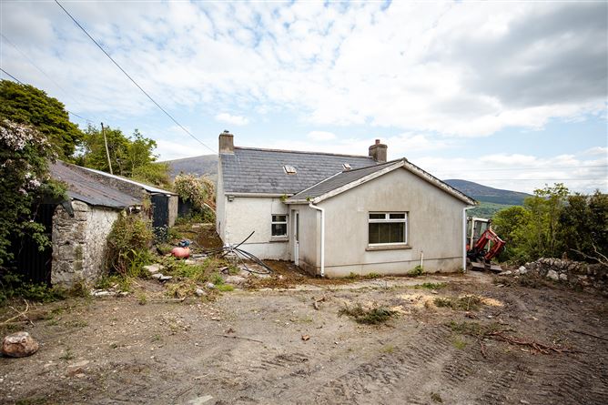 Tomduff, Borris, Carlow