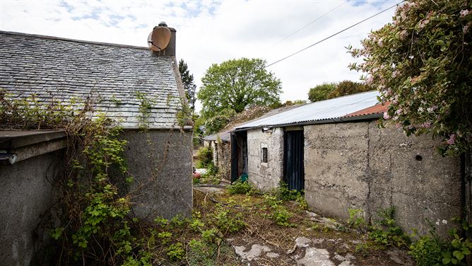 Tomduff, Borris, Carlow