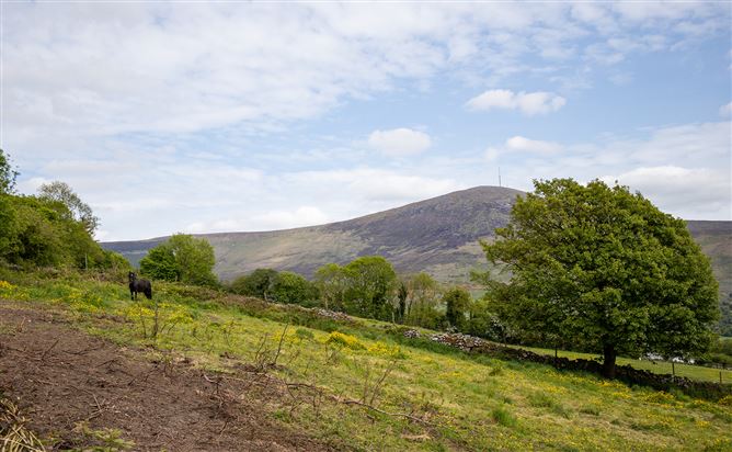 Tomduff, Borris, Carlow