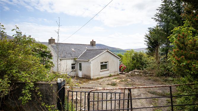 Tomduff, Borris, Carlow