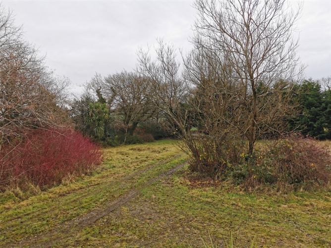 Eleuthera House, Ballykelly, New Ross, Wexford
