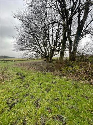 Larganboy, Ballyhaunis, Mayo
