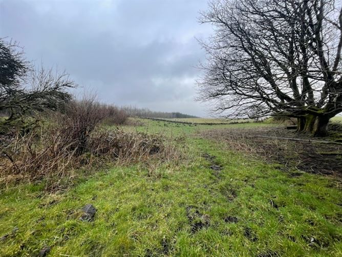 Larganboy, Ballyhaunis, Mayo