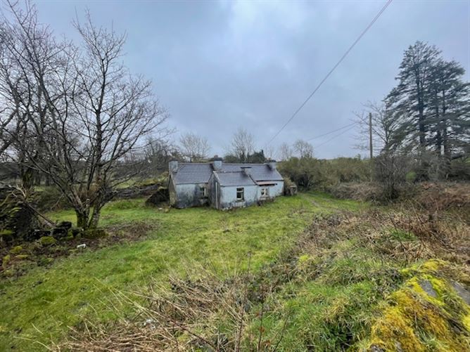 Larganboy, Ballyhaunis, Mayo