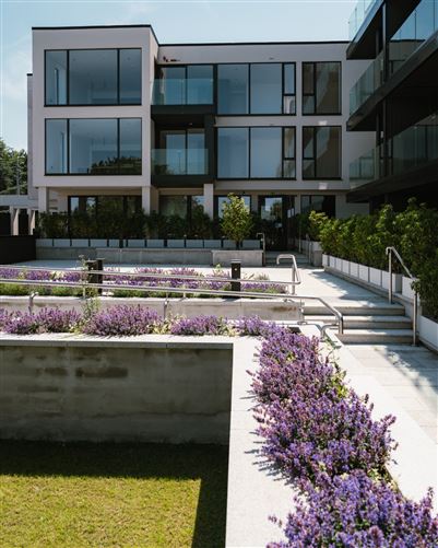 https://photos-a.propertyimages.ie/media/1/8/1/4954181/7bb6c1d4-f42d-4f0c-82fe-bf2b4ded53c1_l.jpg