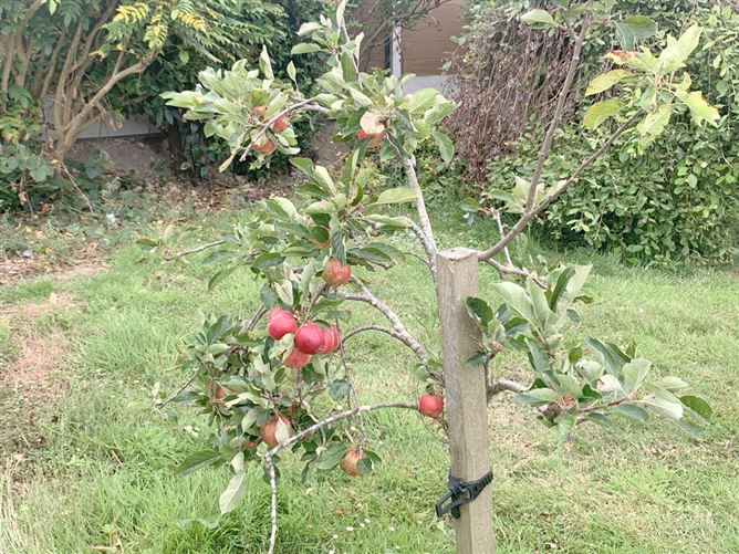 Photo 27 of 29 — Mohia Lane, Killurin, Tullamore, Offaly