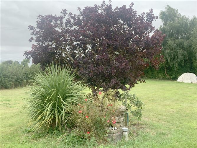 Photo 28 of 29 — Mohia Lane, Killurin, Tullamore, Offaly