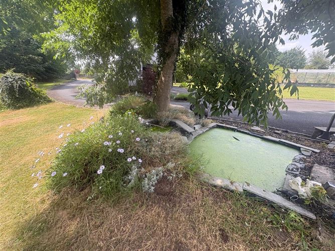 Photo 18 of 20 — Cappamore, Cappamore, Limerick