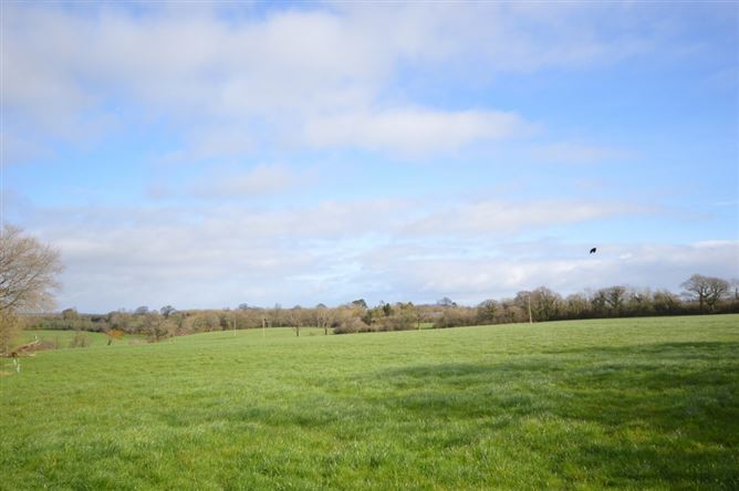 Maycoyle, Inch, Gorey, Wexford