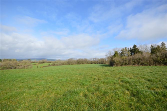 Maycoyle, Inch, Gorey, Wexford