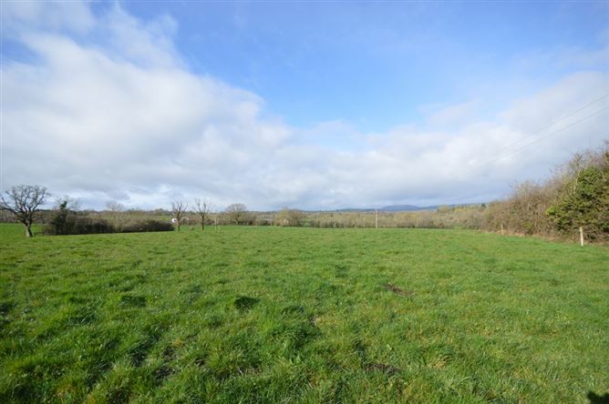 Maycoyle, Inch, Gorey, Wexford