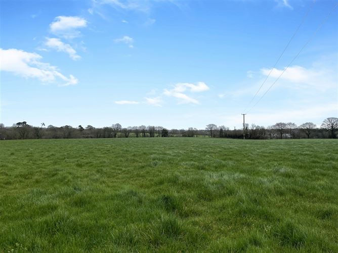 Maycoyle, Inch, Gorey, Wexford