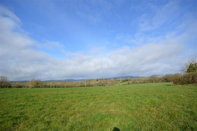 Maycoyle, Inch, Gorey, Wexford