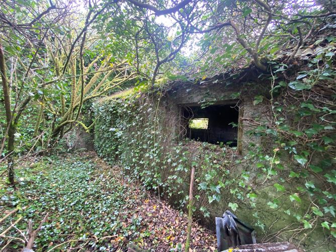 1.21 Acres Dunganstown, Delvin, Westmeath