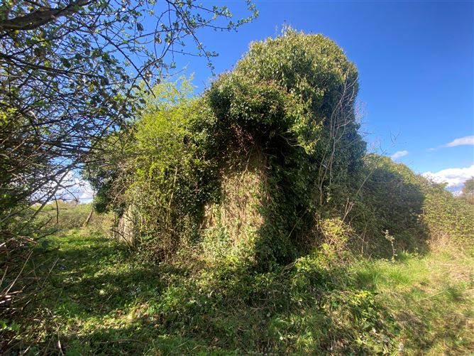 1.21 Acres Dunganstown, Delvin, Westmeath