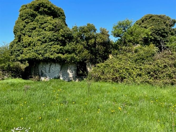 Drumquin, Ennis, Clare