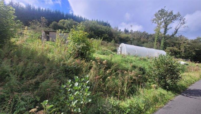 "Hazel Farm", Tullycooley, Dromahair, Leitrim