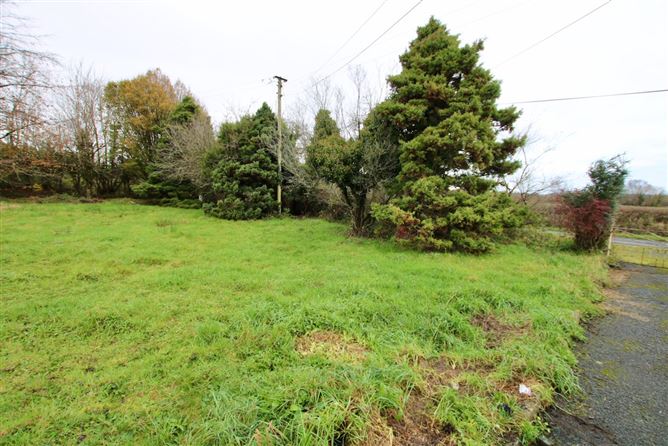 Clooneen, Bornacoola, Co. Longford