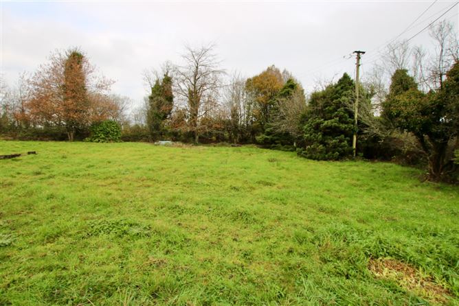 Clooneen, Bornacoola, Co. Longford