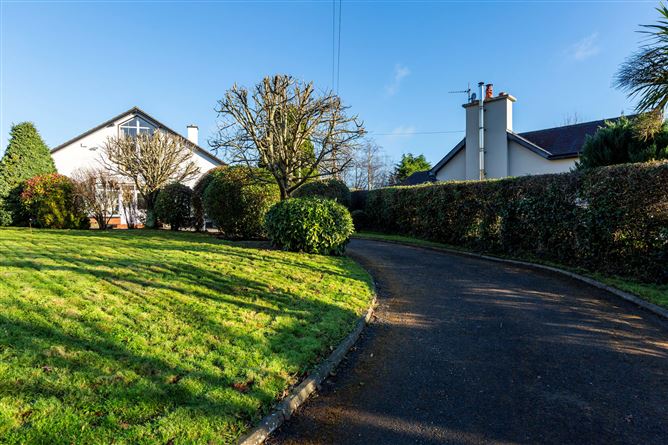 Avalon, Park, Wexford Town, Wexford