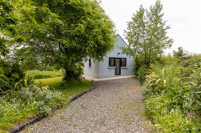 "Lazyacre", Ballyconnigar, Blackwater, Co. Wexford., Blackwater, Wexford