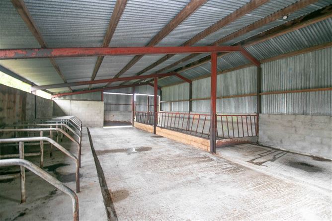 Tullylorcan, Bailieborough, County Cavan