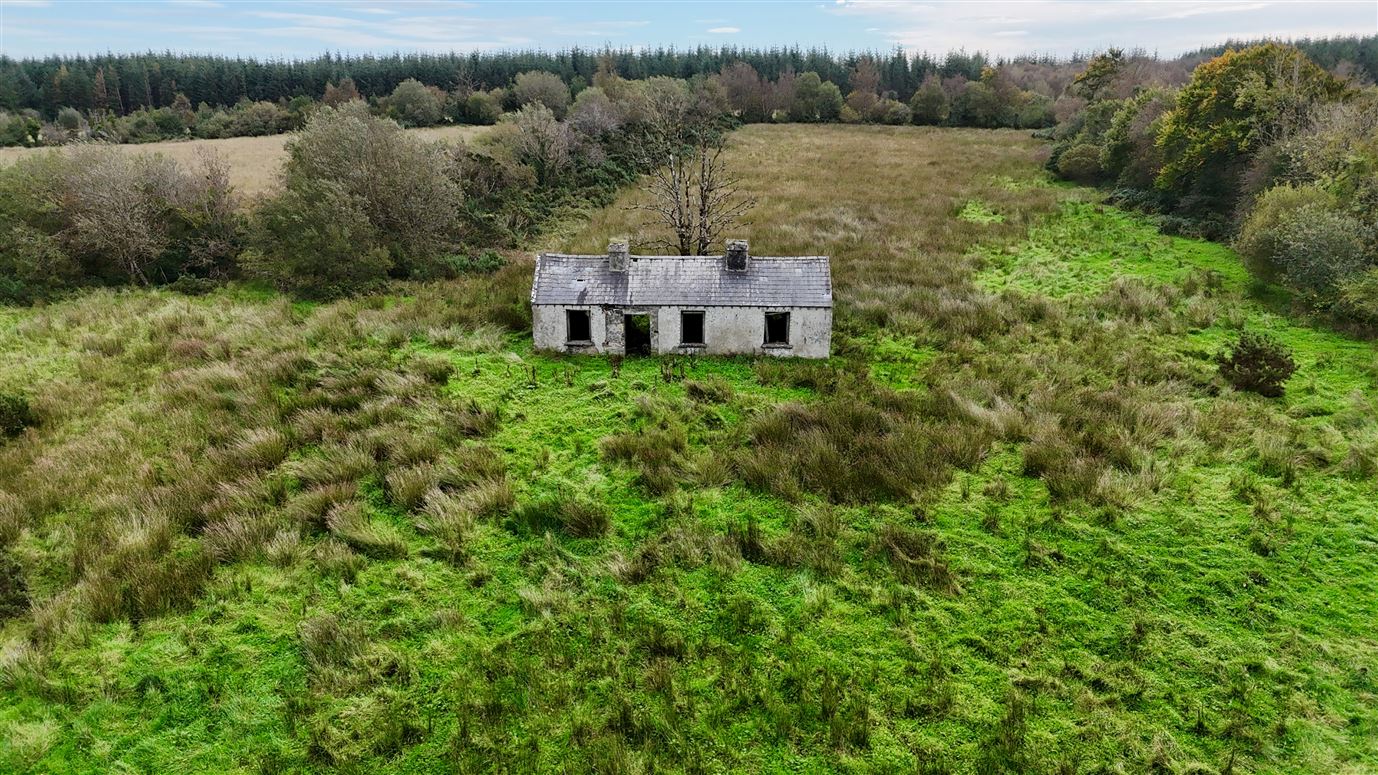 39.41 acres at Kilcoosh, Newbridge, Co. Galway
