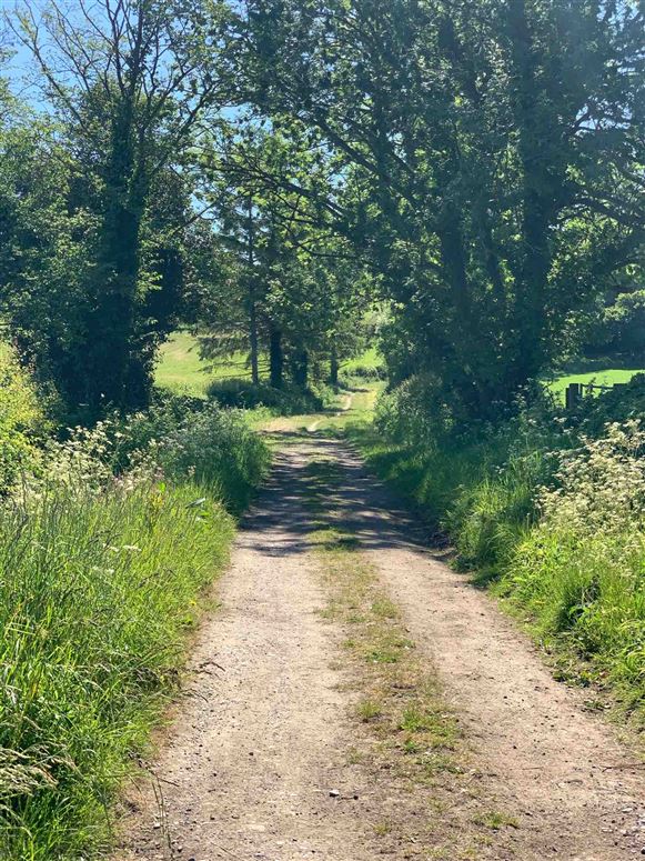 The Honey Bee,West Chinnock, Somerset, United Kingdom