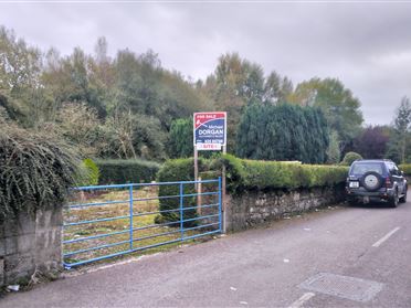 Main image of Ronald Reagan Site, River Lane, Ballyporeen, Tipperary