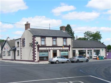 Castleblakeney Village, Castleblakeney,Ballinasloe Co. Galway