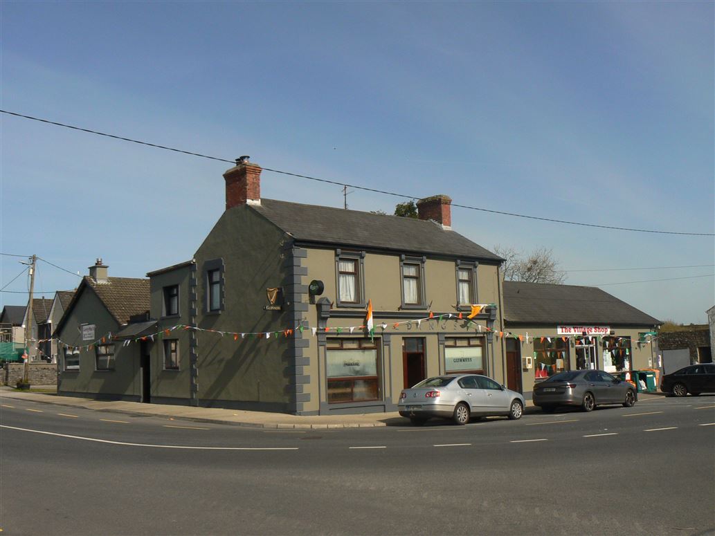 Castleblakeney Village, Castleblakeney,Ballinasloe Co. Galway