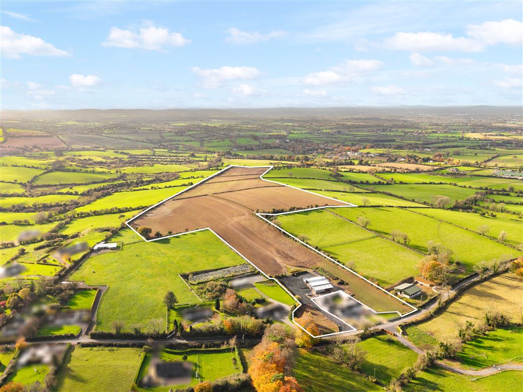 Land For Sale, c40 Acres/ 15.78 Ha at Rathmore West, Naas, Kildare