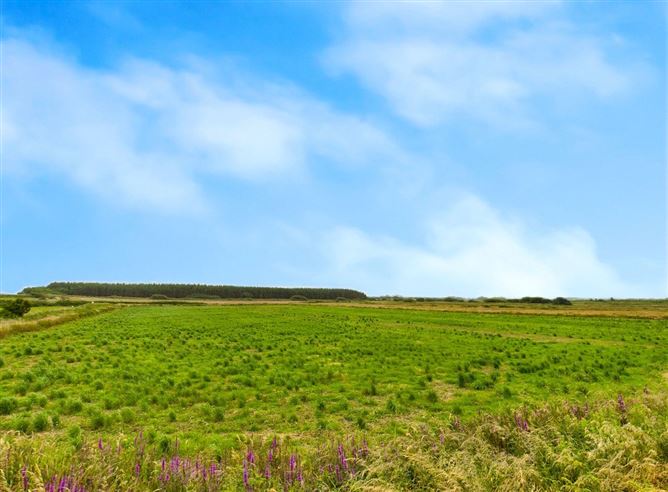 Slievenamon, Bansha, Kilkee, Co. Clare