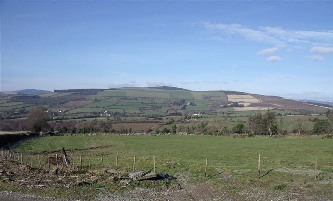 The Wilds, Killeagh, Aughrim, Wicklow