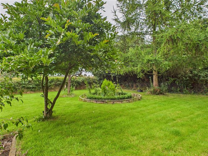 The Forge, Staplestown, Carlow Town, Carlow