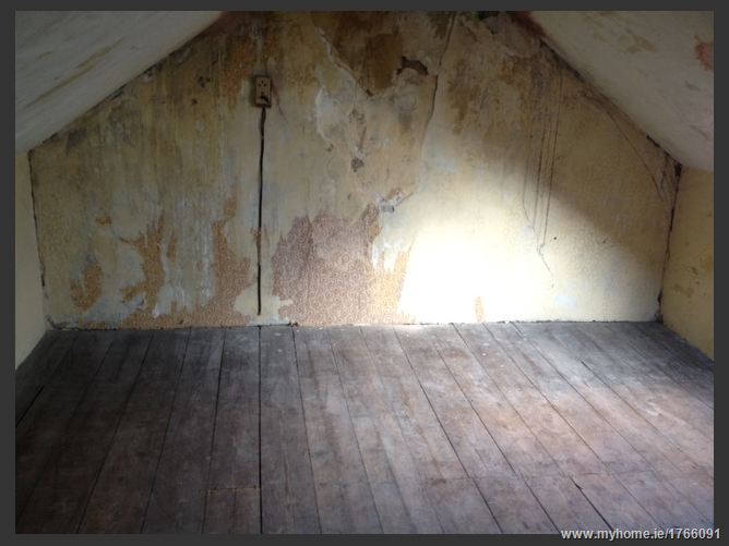 Lisadell, Gardeners Hill, St Lukes, Cork City