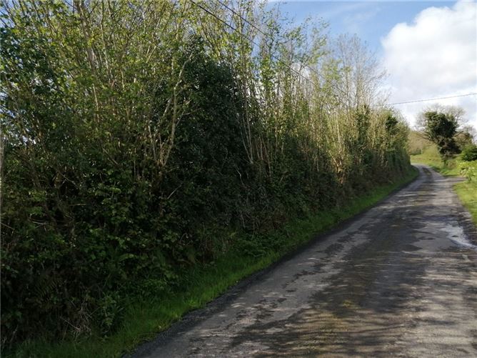 Lands At Shanrath, Wolfhill, Co. Laois