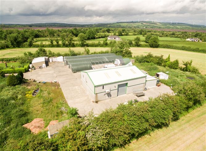 Moher,Lanesboro,Co. Roscommon,N39 RK35