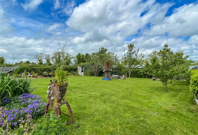 Moher,Lanesboro,Co. Roscommon,N39 RK35