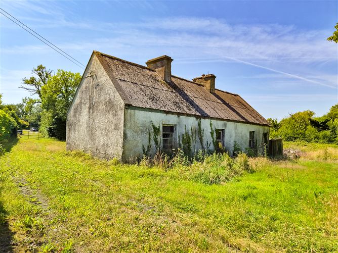 Brucklagh, Drumlish, Longford