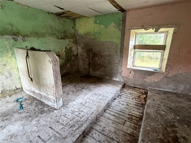Photo 11 of 21 — Brucklagh, Drumlish, Longford