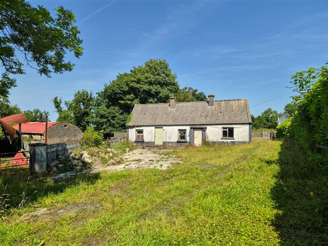 Photo 21 of 21 — Brucklagh, Drumlish, Longford