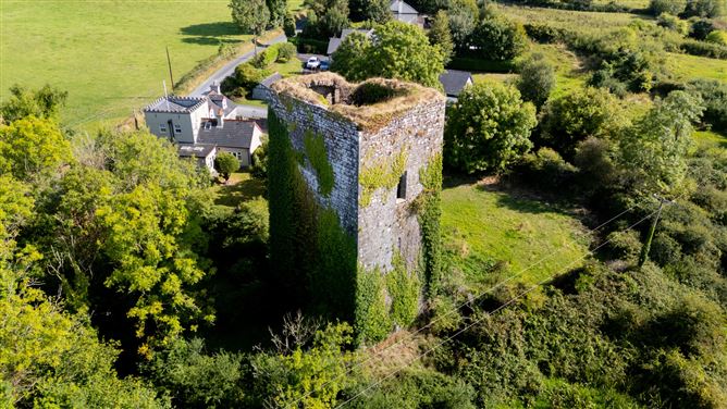 Ballygriffey Castle Ruins On 0.7ha, Folio CE3481F, Ballygriffey South, Ruan, Co. Clare