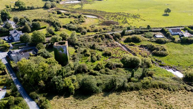 Ballygriffey Castle Ruins On 0.7ha, Folio CE3481F, Ballygriffey South, Ruan, Co. Clare