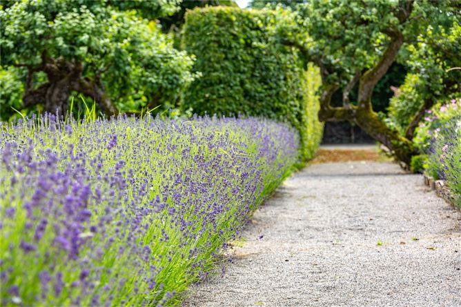 Ballindoolin House On C.238acres, Carbury, Co. Kildare